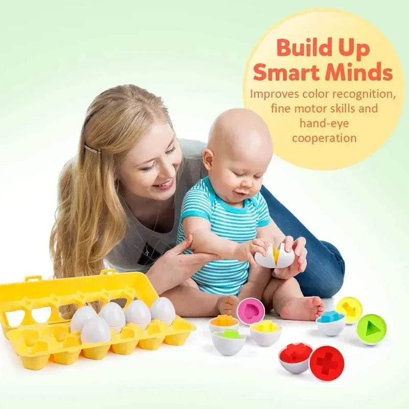 Jeu Montessori œufs éducatifs pour développer la logique des enfants
