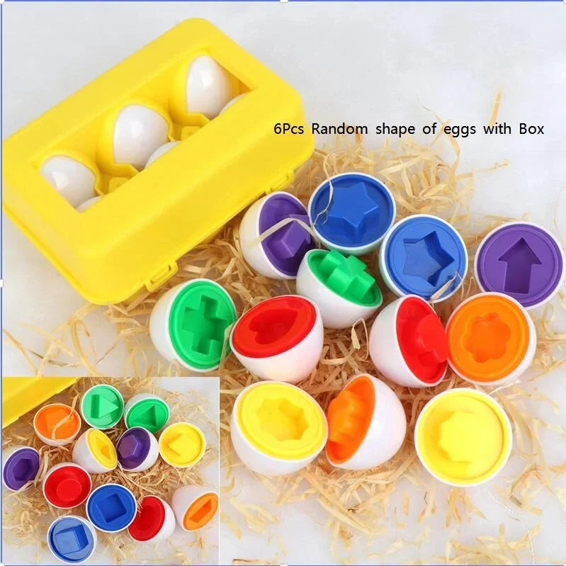 Jeu Montessori Sensoriel | Œufs éducatifs | Élevé pour Briller